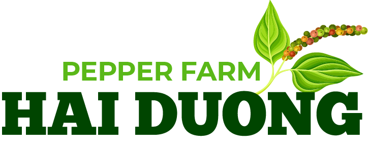 Phu Quoc Pepper Farm